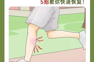 如何帮助受伤的篮球运动员恢复力量训练?——两种策略的深度解析与最佳实践